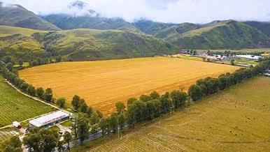 4K航拍中国西部高原乡村农业基地视频的预览图